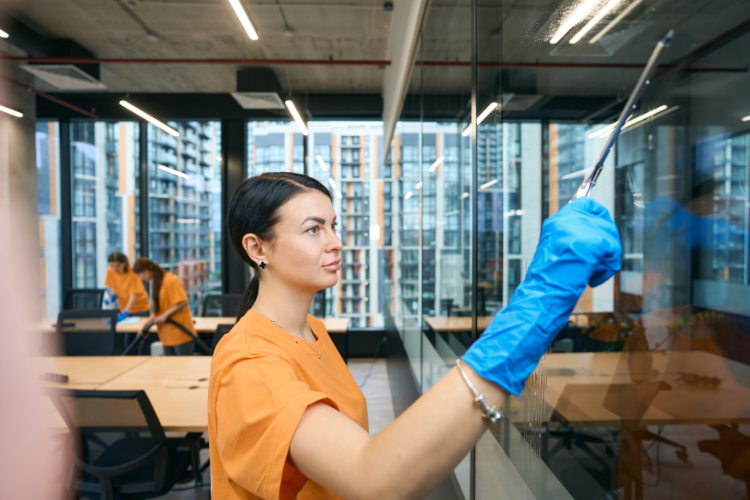 Office Workspace Cleaning